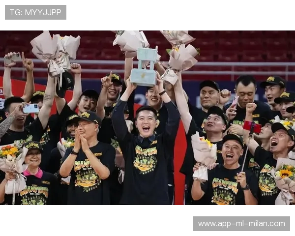 CBA赛场见证青春与汗水的交融,cba赛事讲解